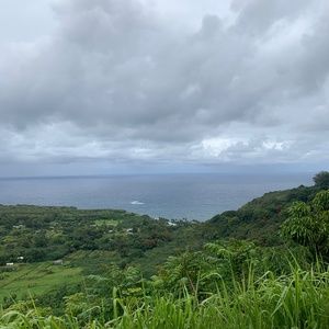 Meet your Posher, Charlene